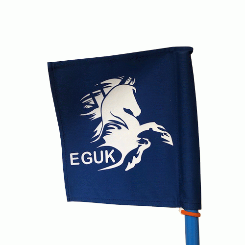 EGUK Flag Race Flag and Pole