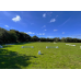 Dressage Arenalite Kit 20m x 40m (2m Board)